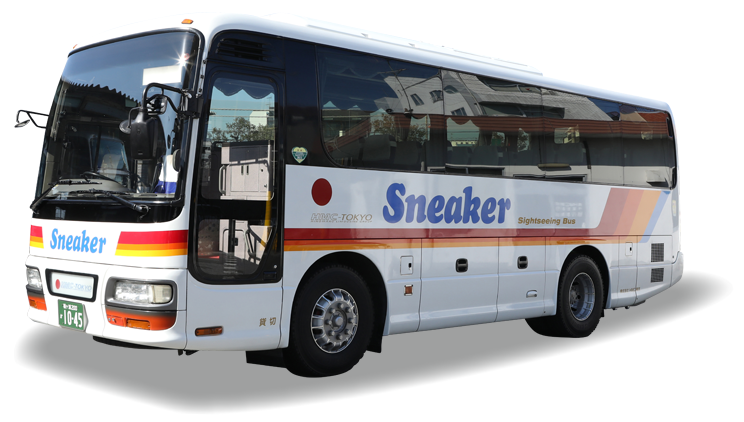 Sneaker